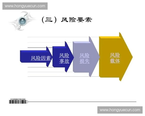 全球电竞赛事安全防护体系建设与风险管理对策研究探索 全球电竞赛事安全防护体系建设与风险管理对策研究探索